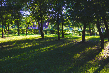 Similar image 21825195