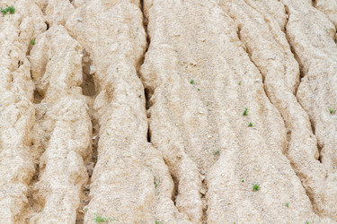 Similar image 21825196