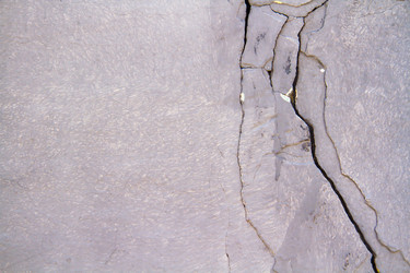 Similar image 21825197