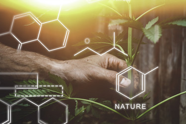 Similar image 21825202