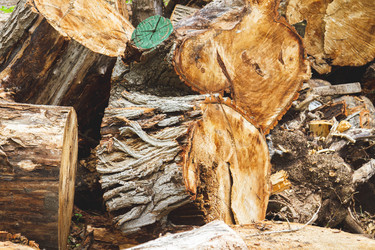 Similar image 21825203