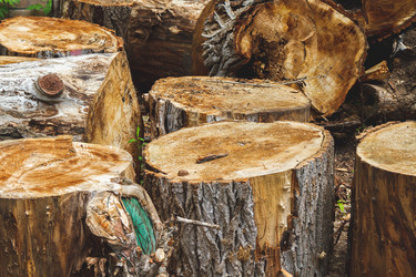 Similar image 21825204