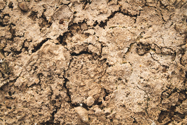 Similar image 21825206