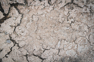 Similar image 21825211