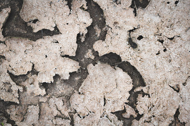 Similar image 21822559