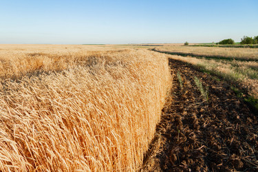 Similar image 21822562