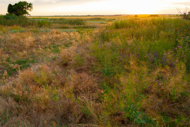 Similar image 21823904