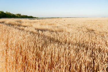 Similar image 21823905