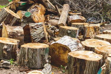 Similar image 21823907