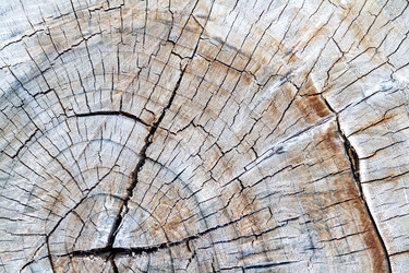 Similar image 21823914