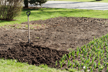 Similar image 21824435