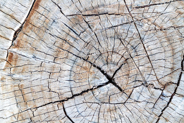 Similar image 21824437