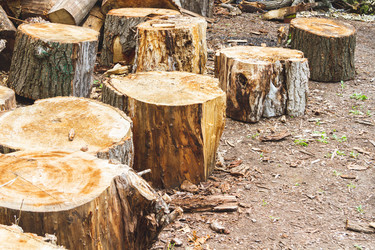 Similar image 21824443