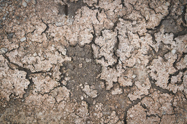 Similar image 21824444