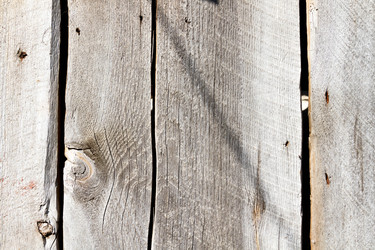 Similar image 21824445