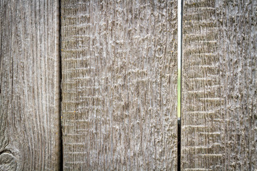 Similar image 21824446