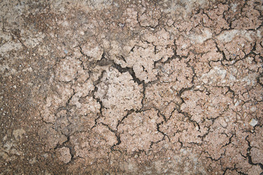 Similar image 21824635