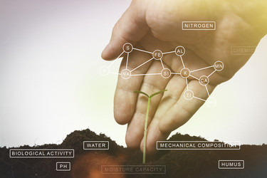 Similar image 21824641