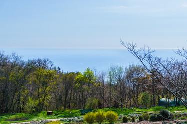 Similar image 21825466