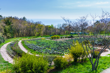 Similar image 21825467