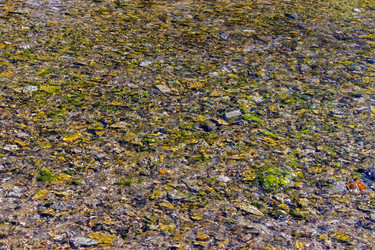 Similar image 21828237