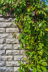 Similar image 21828243