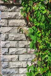 Similar image 21828244