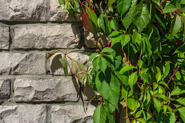 Similar image 21828245