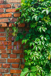 Similar image 21828248