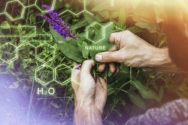 Similar image 21824643