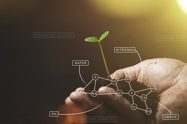 Similar image 21824650