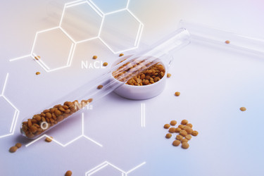 Similar image 21824658