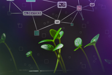 Similar image 21824660