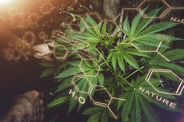 Similar image 21824661