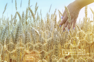 Similar image 21824664