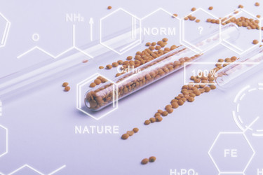 Similar image 21824665