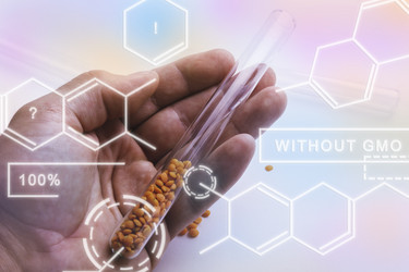 Similar image 21824667