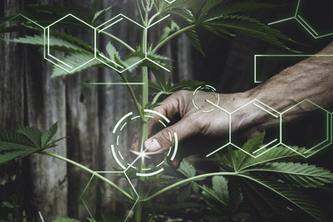 Similar image 21824668