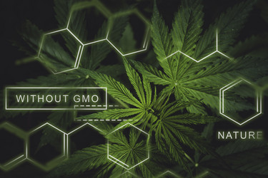 Similar image 21824669