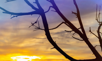 Similar image 21824673