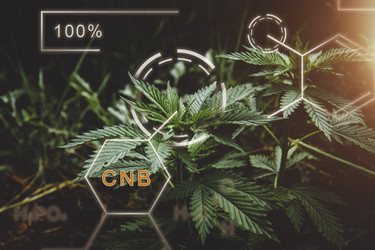 Similar image 21824676