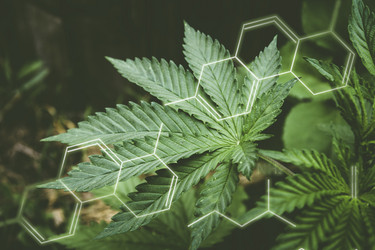 Similar image 21824677