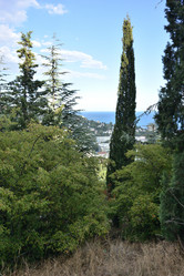 Similar image 21818407