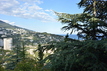 Similar image 21818409