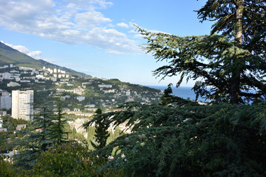 Similar image 21818411