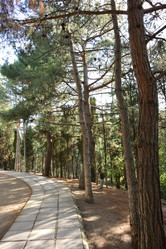 Similar image 21818414