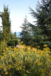 Similar image 21818419