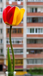 Similar image 21818226