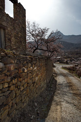 Similar image 21827041