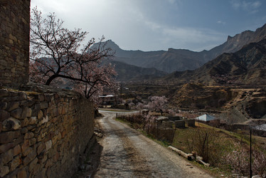 Similar image 21827043